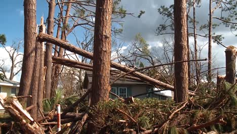 Los-árboles-Se-Partieron-Como-Ramitas-En-Lynn-Haven-Florida-Desde-El-Huracán-Michael-2018