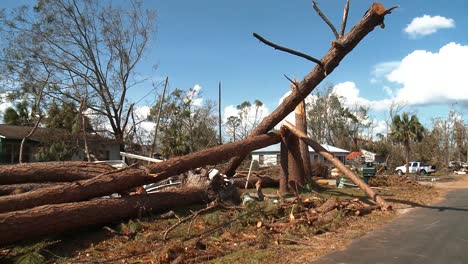 Trees-Split-Like-Twigs-In-Lynn-Haven-Florida-After-Hurricane-Michael-2018