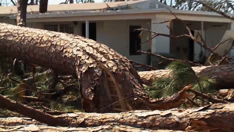 A-Tree-Split-Like-A-Twig-Fell-On-A-Home-In-Lynn-Haven-Florida-Due-To-Hurricane-Michael-2018