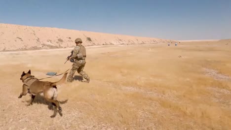 Us-Soldiers-2th-Infantry-Division-And-Military-Working-Dogs-Conduct-A-Team-Livefire-Exercise-At-Al-Asad-Air-Base-Iraq-1