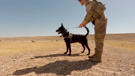 Us-Soldiers-2th-Infantry-Division-And-Military-Working-Dogs-Conduct-A-Team-Livefire-Exercise-At-Al-Asad-Air-Base-Iraq-6