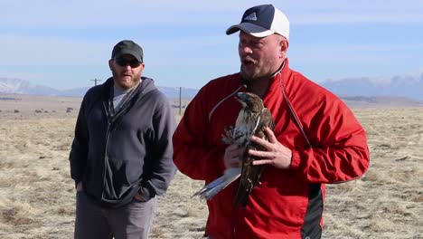 Dpg-Environmental-Releases-Injured-Birds-Of-Prey-From-Captivity-Into-the-Wilderness-Near-Dugway-Proving-Grounds-Utah