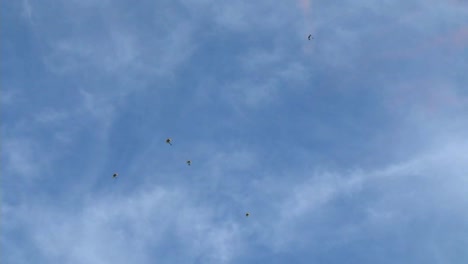 El-Equipo-De-Demostración-De-Paracaídas-De-Los-Caballeros-Dorados-Del-Ejército-Estadounidense-Paracaidismo-Celebración-Del-4-De-Julio-En-Washington-Dc