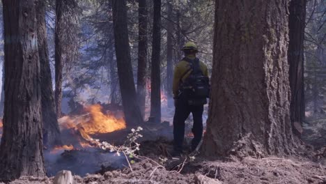 Wir-Marines-Helfen-Bei-Der-Bekämpfung-Von-Bachfeuer,-Einem-Inferno-Aus-Flammen-Und-Wütenden-Waldbränden-Im-Sierra-National-Forest