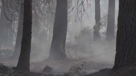 Zeitlupe-Wir-Marines-Bekämpfen-Bachfeuer-Ein-Inferno-Aus-Flammen-Und-Wütenden-Waldbränden-Im-Sierra-National-Forest