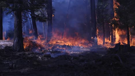Us-Marines-And-Sailors-Conduct-Wildland-Firefighting-Operations-During-the-Creek-Fire-Sierra-National-Forest-Ca-6