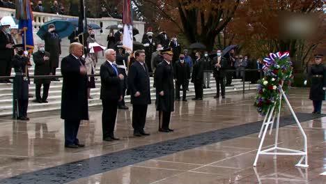 US-Präsident-Donald-Trump-Vizepräsident-Mike-Pence-Bei-Der-Einhaltung-Des-National-Veterans-Day-Washington-DC-2