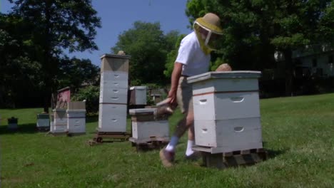 A-Beekeeper-Works-With-Bees-1