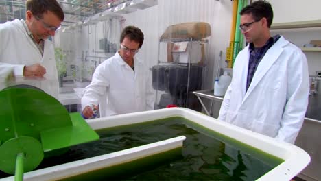 Algen-Werden-Als-Biokraftstoff-Entwickelt-Und-Genutzt
