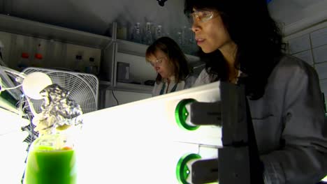 Algae-Is-Developed-And-Used-As-A-Biofuel-In-Low-Light-Conditions