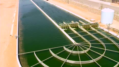 A-Large-Scale-Outdoor-Farm-Grows-Algae-For-Biofuel