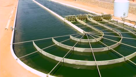 A-Large-Scale-Outdoor-Farm-Grows-Algae-For-Biofuel-1