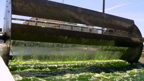 A-Large-Scale-Outdoor-Farm-Grows-Algae-For-Biofuel-3