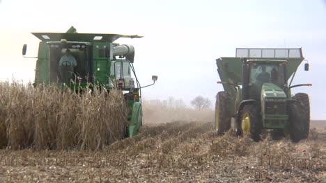 Farmers-Harvest-Corn-In-The-Fields-Of-Iowa