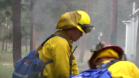Firefighters-Mop-Up-After-A-Forest-Fire