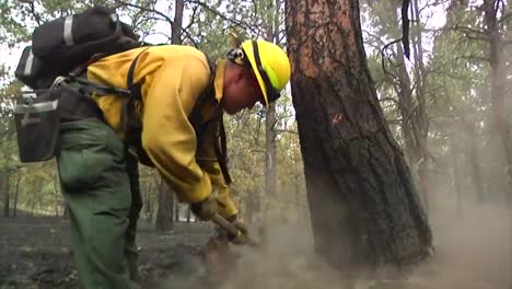 Firefighters-Mop-Up-After-A-Forest-Fire-2