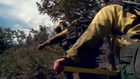 Los-Equipos-De-Bomberos-Limpian-Después-De-Un-Incendio-Forestal-6