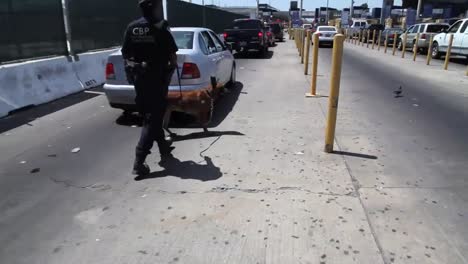 A-Canine-Unit-Patrols-Cars-Along-The-San-Ysidro-Border-Crossing-Between-The-Us-And-Mexico