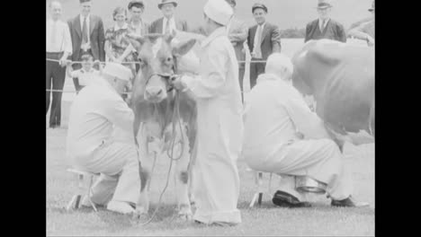 Kongressabgeordnete-Treten-1938-An-Einem-Kuhmelkwettbewerb-Im-Weißen-Haus-An