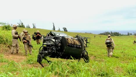 The-Legged-Squad-Support-System-Robotic-Mule-Is-Demonstrated-By-The-Us-Army-1