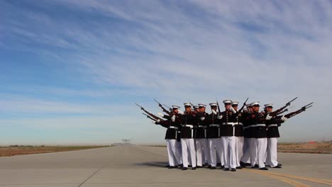 Us-Marine-Honor-Guard-Poses-As-Plane-Does-A-Flyover