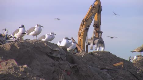 Huge-Piles-Of-Garbage-And-Rubble-Are-Bulldozed-In-A-Junkyard-Following-Hurricane-Sandy-2