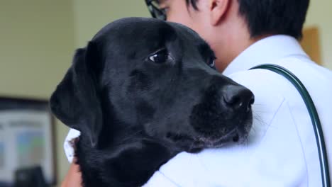 Dogs-Are-Vaccinated-Against-Disease-At-A-Veterinarians-Office-2