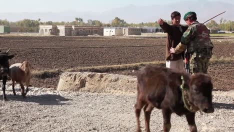 Afghanische-Kinder-Ziehen-Durch-Ein-Dorf-Und-Werden-Während-Des-Krieges-In-Afghanistan-Durchsucht