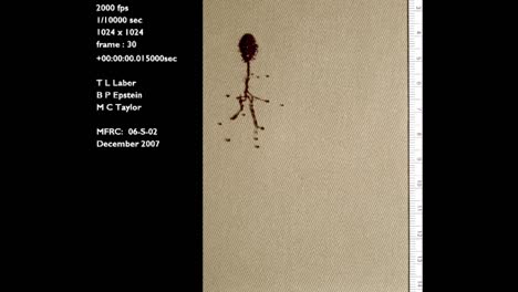 A-Forensics-Crime-Lab-Studies-A-Slow-Motion-Blood-Drop-Falling-Onto-A-Cotton-Surface-1