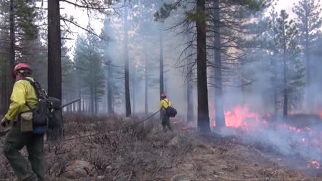Firefighters-Set-Backfires-While-Battling-A-Wildfire