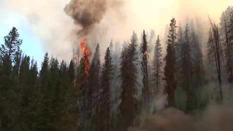 Firefighters-Set-Backfires-While-Battling-A-Wildfire-1