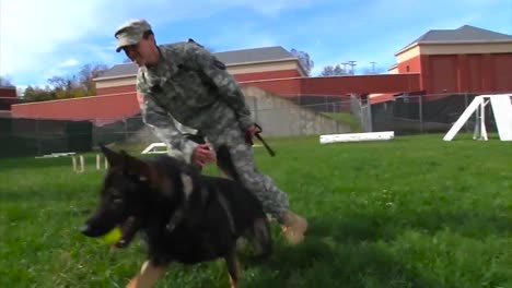Us-Soldiers-Train-A-K9-Dog