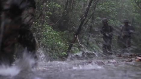 US-Armeetruppen-Durchlaufen-Ein-Umfangreiches-Dschungelkriegstraining-2