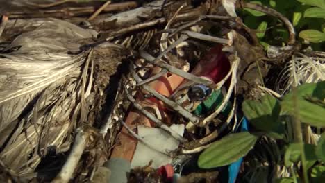 Aufnahmen-Von-Müll-Und-Trümmern-Im-Meer,-Die-In-Toten-Vögeln-Entlang-Der-Strände-Von-Hawaii-Gefunden-Wurden