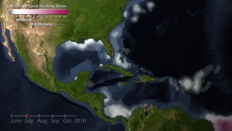 An-Animated-Visualization-Of-The-Destruction-Of-Coral-Reefs-Due-To-Global-Warming-In-The-Caribbean