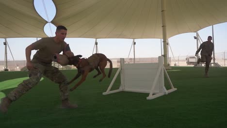 Military-Working-Dogs-And-their-Handlers-Work-Out-And-Conduct-Training-Exercises-At-the-Al-Udeid-Air-Base-Qatar-2