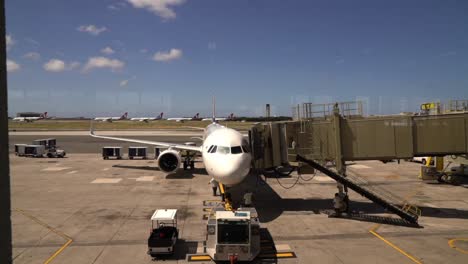 Hawaii-Nationalgardisten-überprüfen-Fluggäste-Neue-Wärmebildkameras-Als-Reaktion-Auf-Covid19-Hawaii