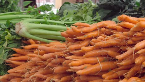 Frisches-Bio-Bauernhof-Gemüse-Zum-Verkauf-Auf-Dem-Wöchentlichen-Santa-Barbara-Farmers-Market-California-2