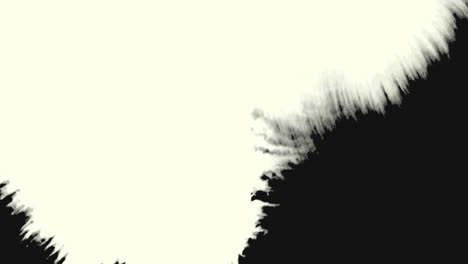 Motion-abstract-black-and-white-brushes-colourful-grunge-background