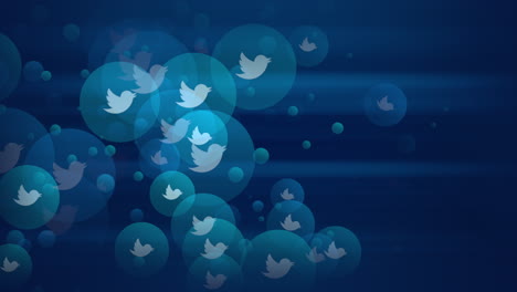 Animation-Motion-icons-of-Twitter-social-network-on-simple-background