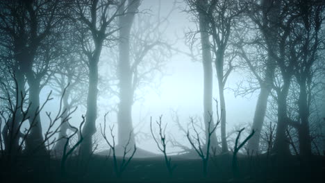 Mystical-horror-background-with-dark-blue-forest-and-fog-abstract-backdrop