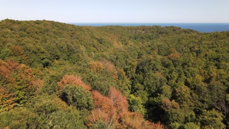Herbstwald-Natur-Luftaufnahme-1