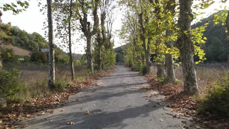 Autumn-Road-Covered-With-Trees-On-Both-Sides