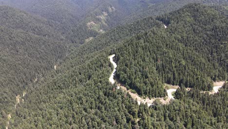 Drone-Footage-Of-Zigzag-Road-Between-Forest-1