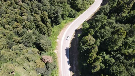 Auto-Unterwegs-Mittleren-Wald
