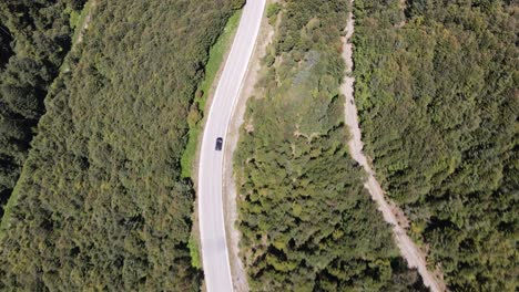 Auto-Reisender-Mittlerer-Wald-4