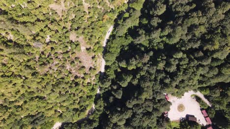 Mountian-Forest-Road-Driving-Aerial-View