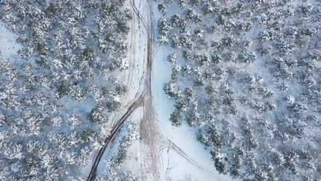 Gefrorene-Bäume-Winter-Straße-Luftaufnahme