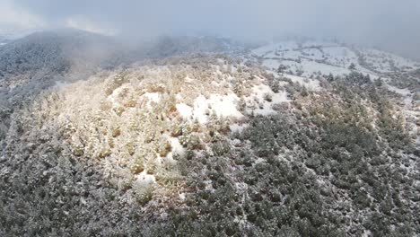 Winter-Nebelwald-Hohe-Berge-Mit-Schnee-Bedeckt