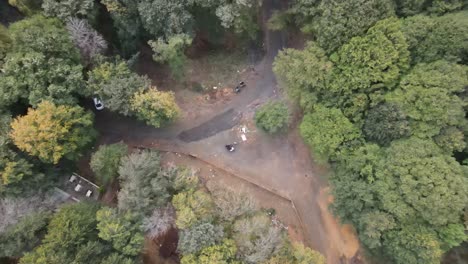 Drohne-Fliegt-über-Naturwald-1